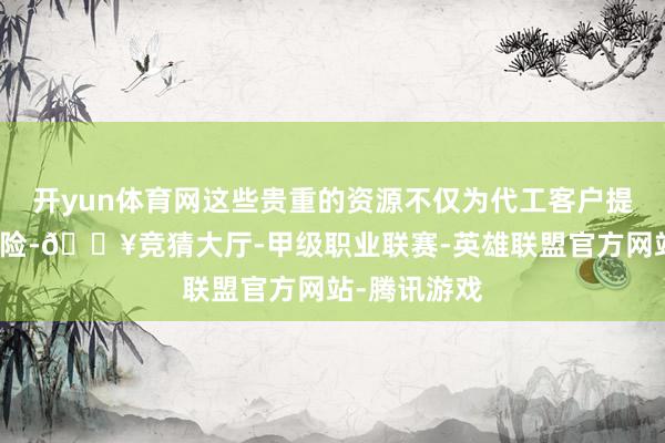 开yun体育网这些贵重的资源不仅为代工客户提供了坚实保险-🔥竞猜大厅-甲级职业联赛-英雄联盟官方网站-腾讯游戏