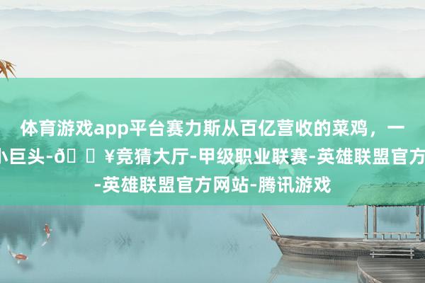 体育游戏app平台赛力斯从百亿营收的菜鸡，一举成为了千亿小巨头-🔥竞猜大厅-甲级职业联赛-英雄联盟官方网站-腾讯游戏