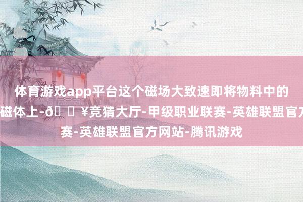 体育游戏app平台这个磁场大致速即将物料中的铁质杂质吸附到磁体上-🔥竞猜大厅-甲级职业联赛-英雄联盟官方网站-腾讯游戏